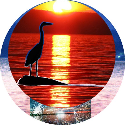 paige's dragonfly image icon heron crane thoth  lake sunset